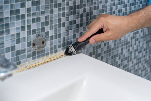Best Residential Mold Removal  in Hallsville, MO