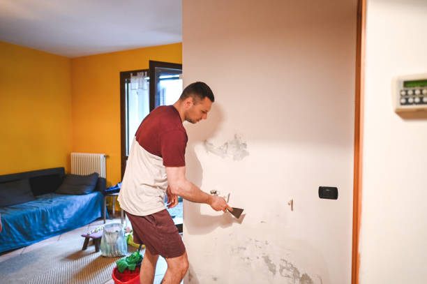 Office Mold Removal Services in Hallsville, MO